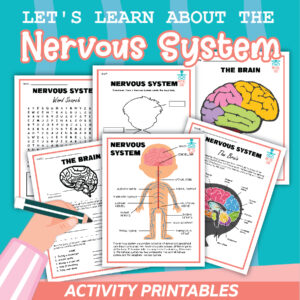 Let's learn about the nervous system