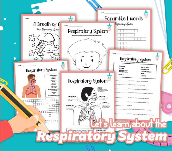 Respiratory System for Kids